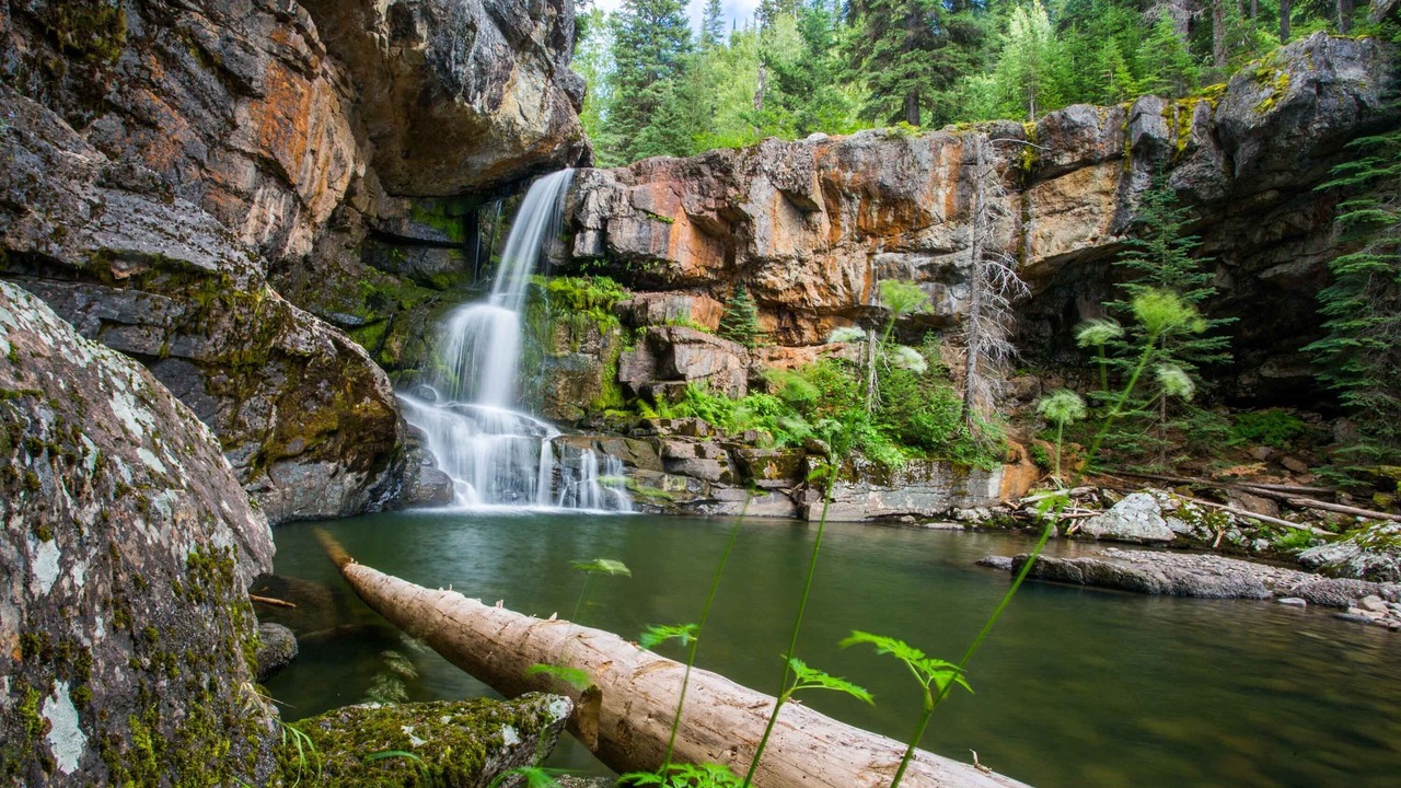 Photo of Outdoor in Fernie