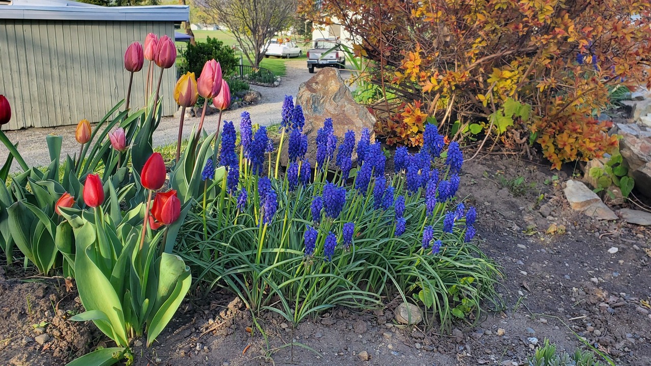 Photo of Outdoor in Vernon