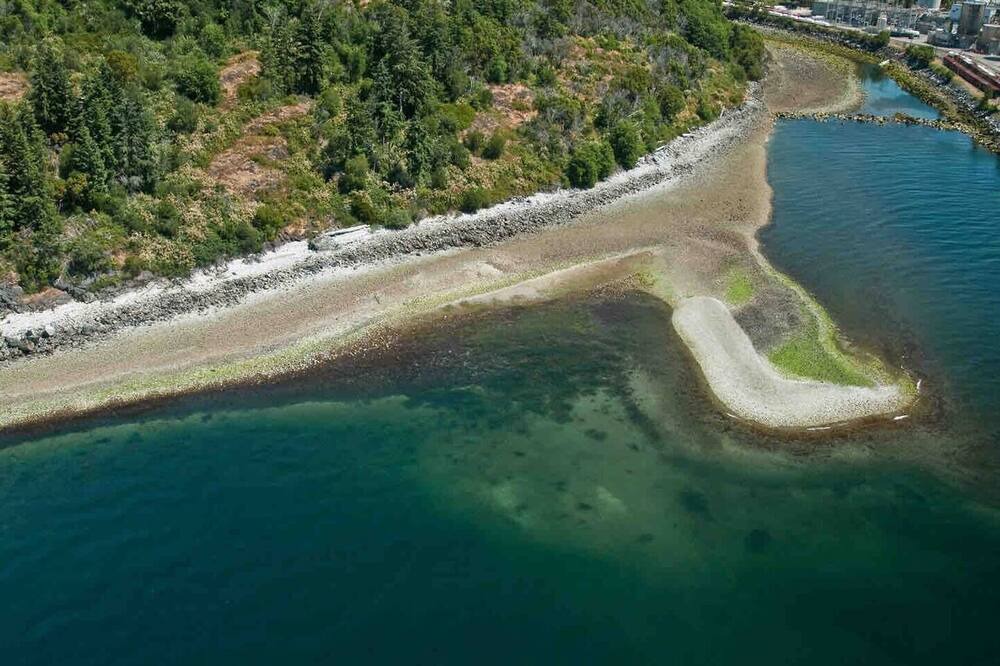 Photo of Others in Powell River