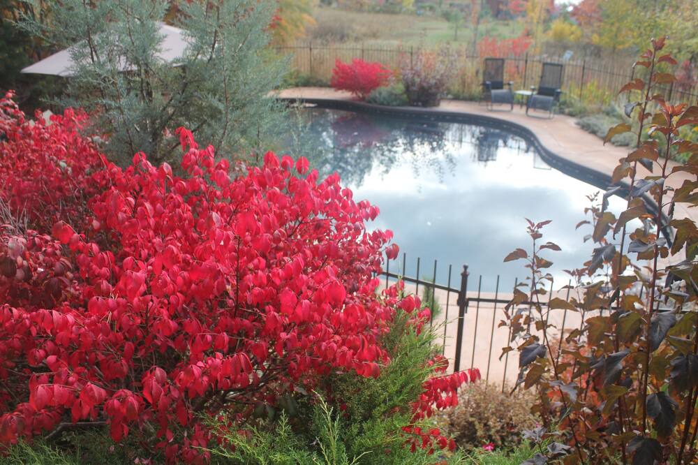 Photo of Outdoor in Coldstream