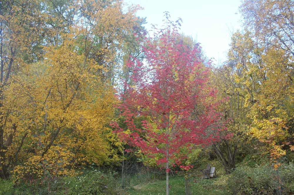 Photo of Others in Coldstream