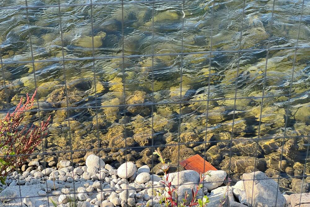 Photo of Outdoor in Campbell River