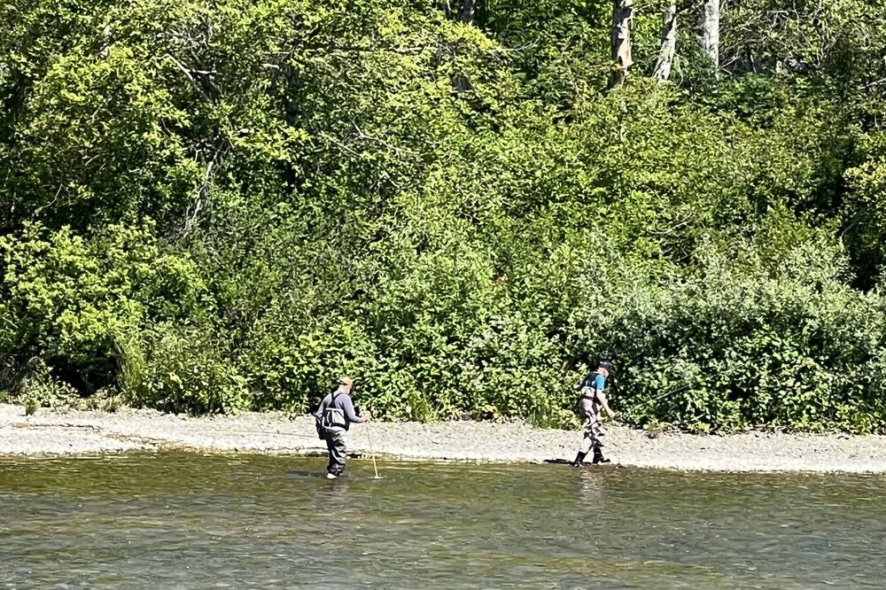 Photo of Others in Campbell River