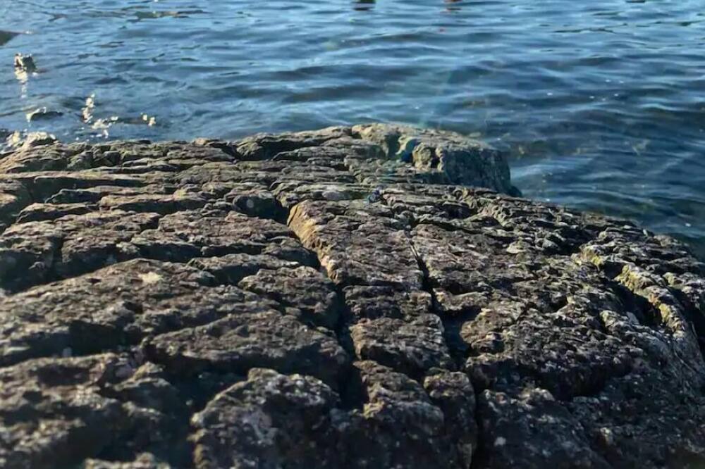 Photo of Others in Earls Cove