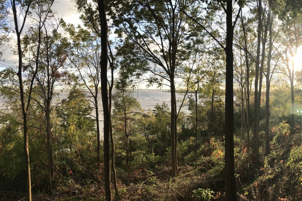 Photo of Outdoor in Port Burwell