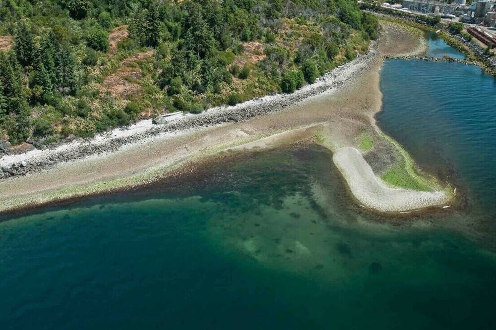 Photo of Others in Powell River
