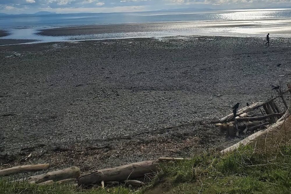 Photo of Others in South Surrey