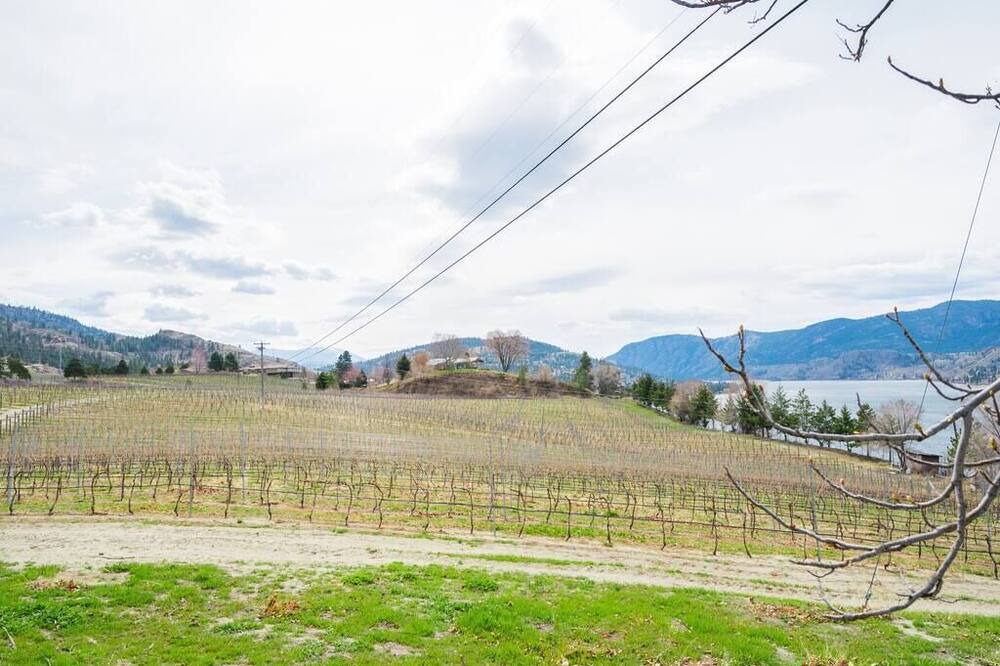Photo of Others in Okanagan-Similkameen