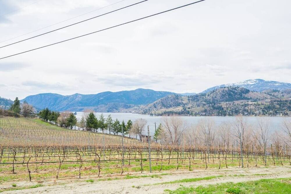Photo of Others in Okanagan-Similkameen
