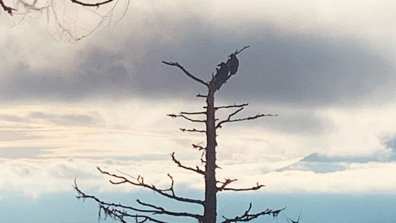 Photo of Others in Tappen