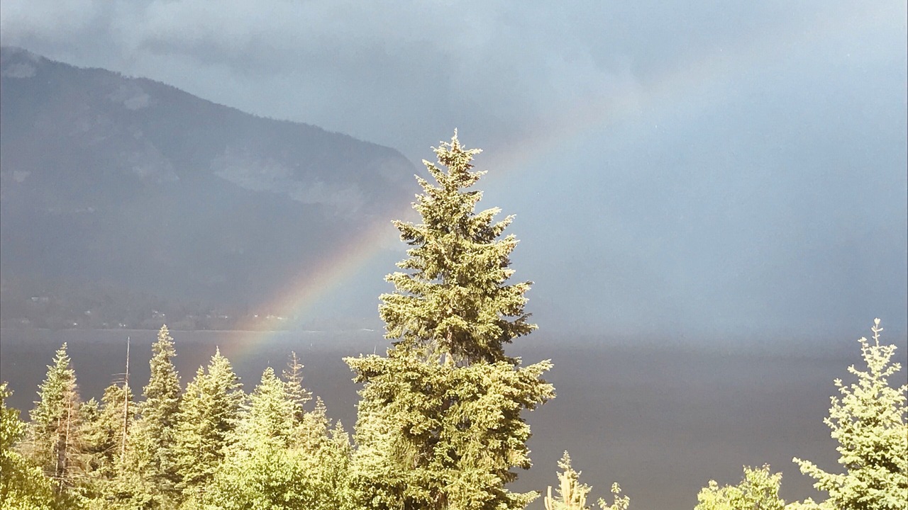 Photo of Outdoor in Tappen