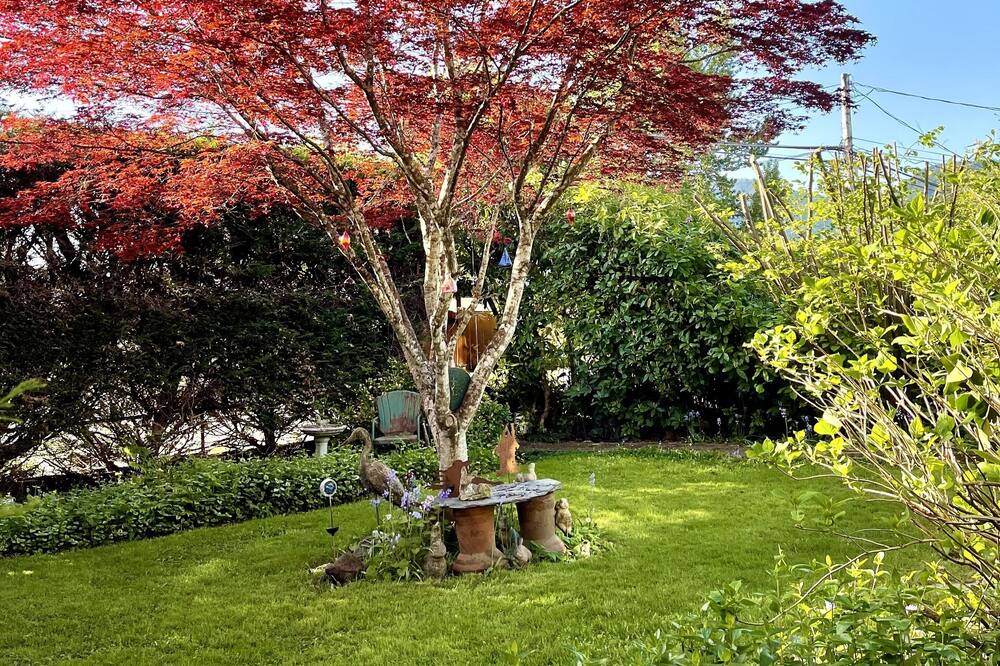 Photo of Outdoor in Lake Cowichan