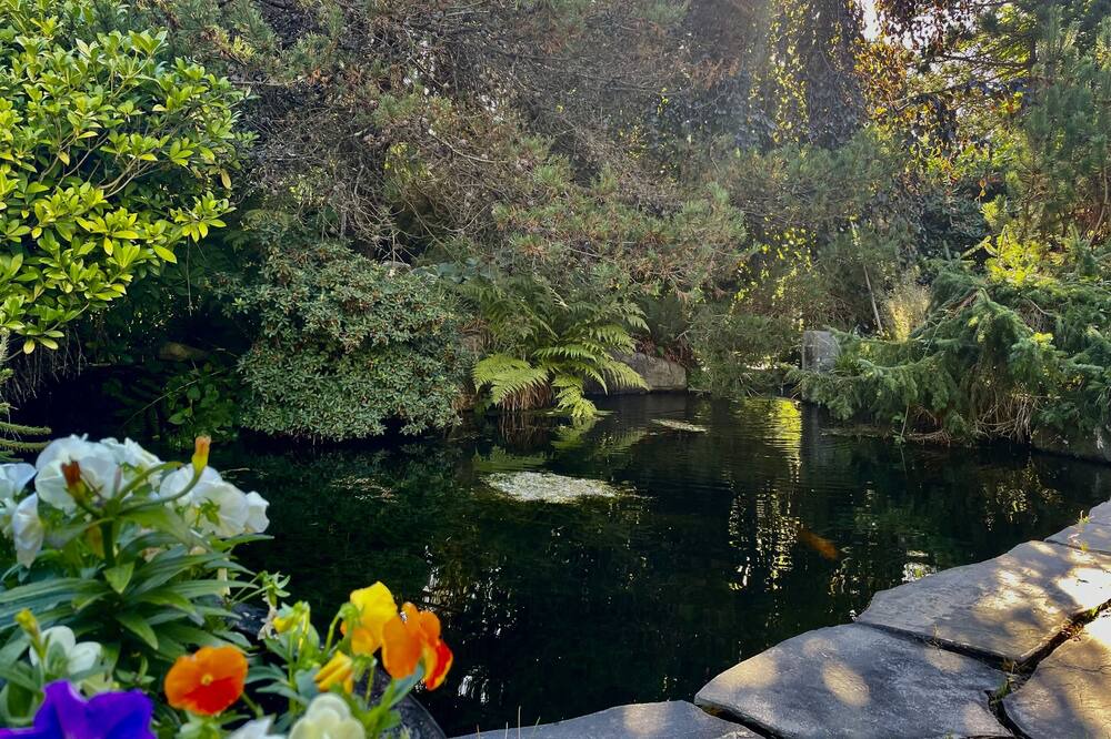 Photo of Outdoor in Surrey