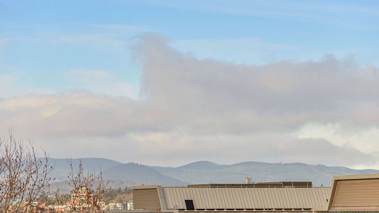 Photo of Outdoor in James Bay