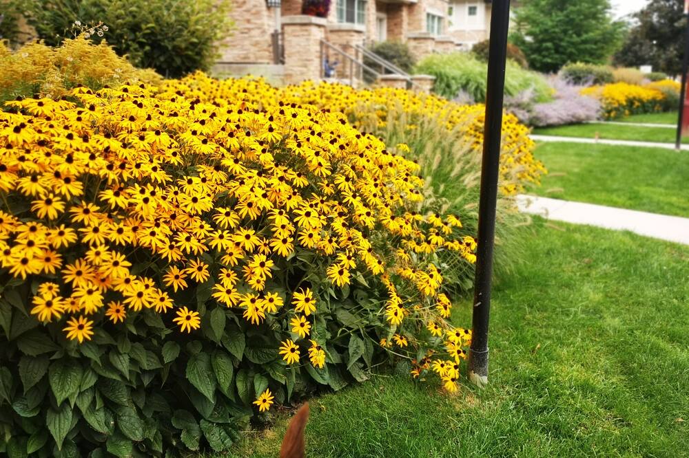 Photo of Outdoor in Central Okanagan