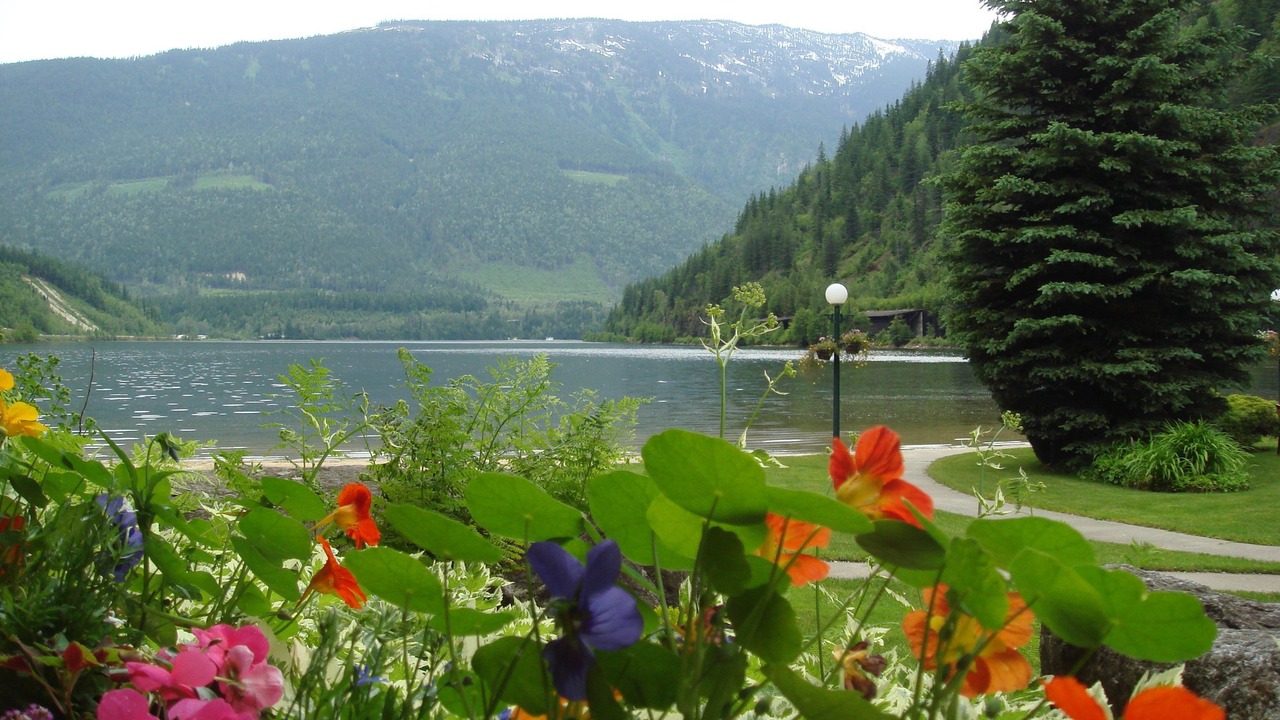 Photo of Outdoor in Revelstoke