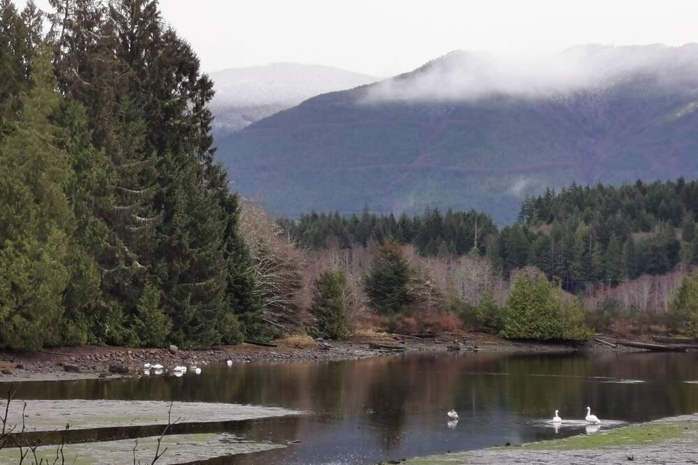 Photo of Outdoor in Ucluelet