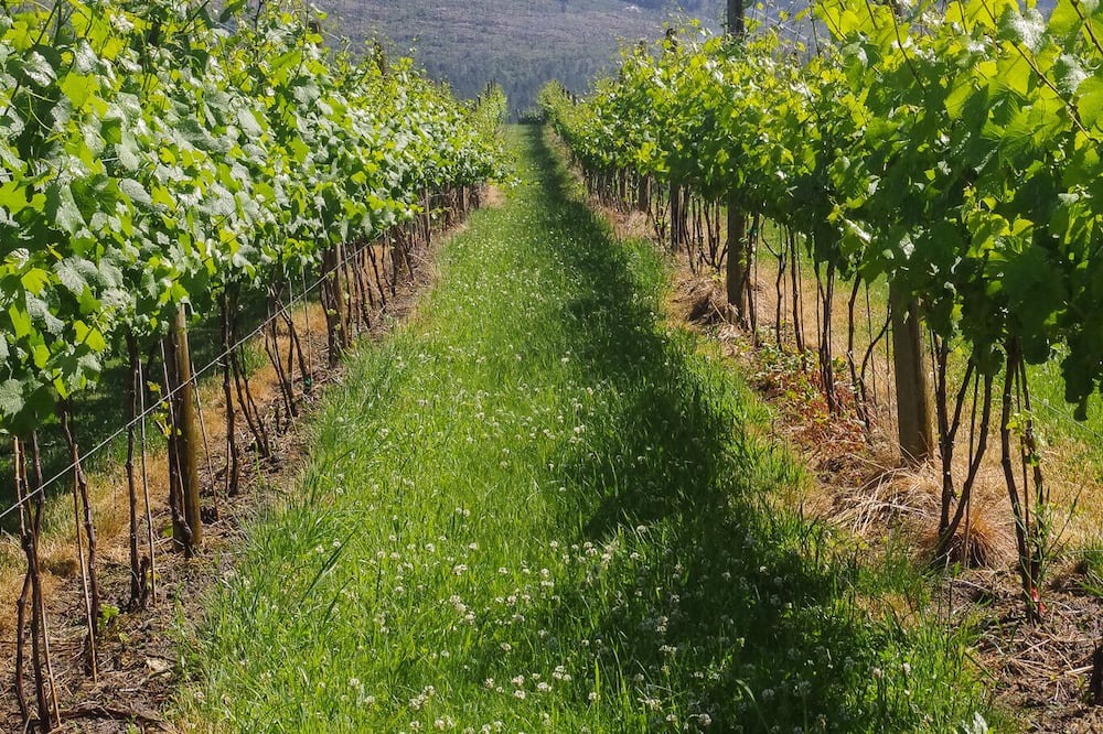 Photo of Outdoor in Southeast Kelowna