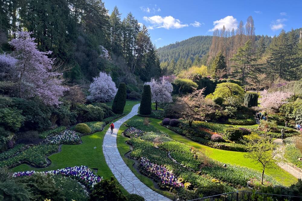 Photo of Outdoor in Saanichton