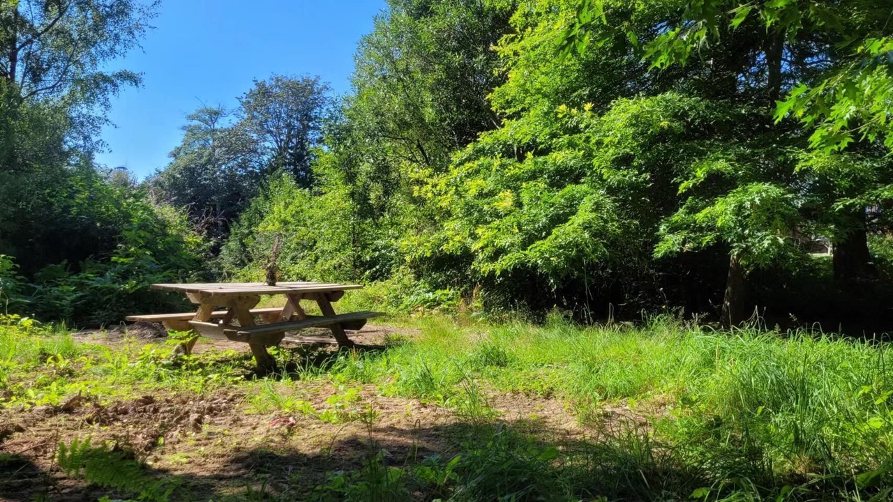 Photo of Outdoor in Sliammon