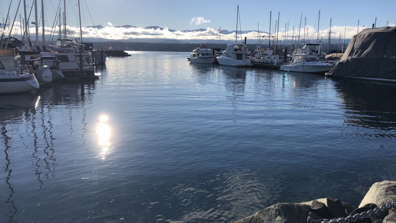 Photo of Others in Courtenay