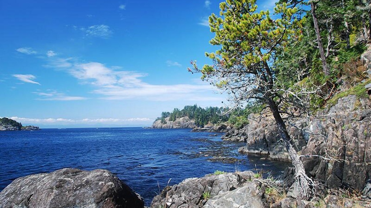 Photo of Others in Sooke