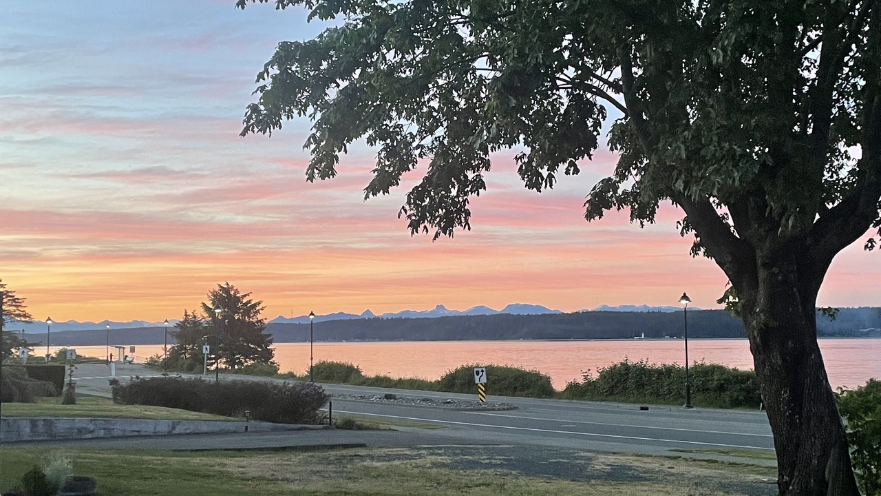 Photo of Outdoor in Campbell River