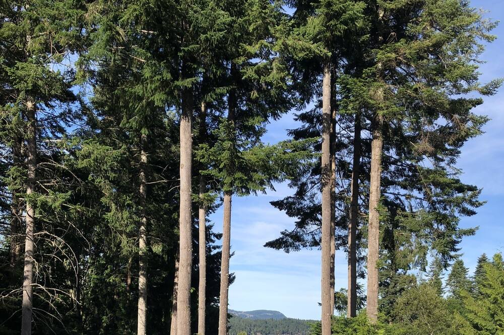 Photo of Others in Salt Spring Island
