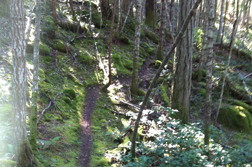 Photo of Outdoor in Salt Spring Island