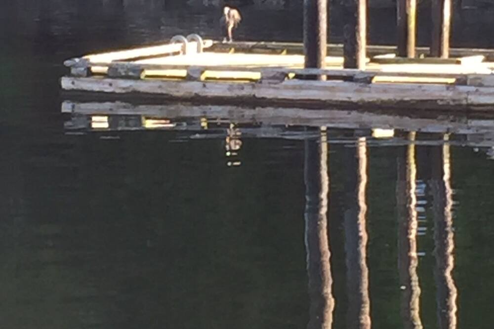 Photo of Others in Salt Spring Island