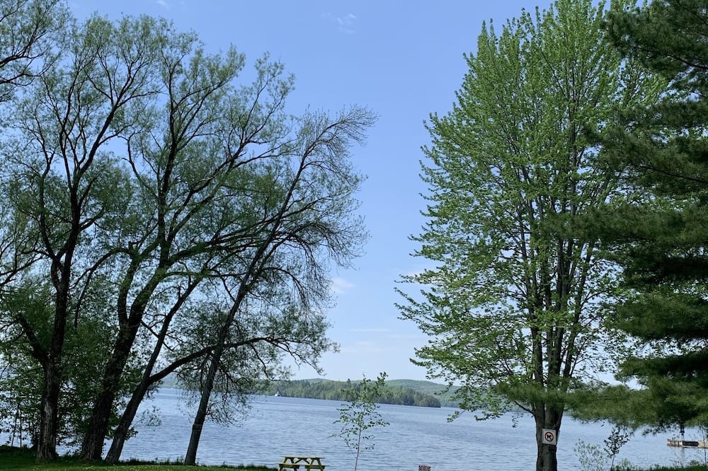 Photo of Outdoor in Cedarville