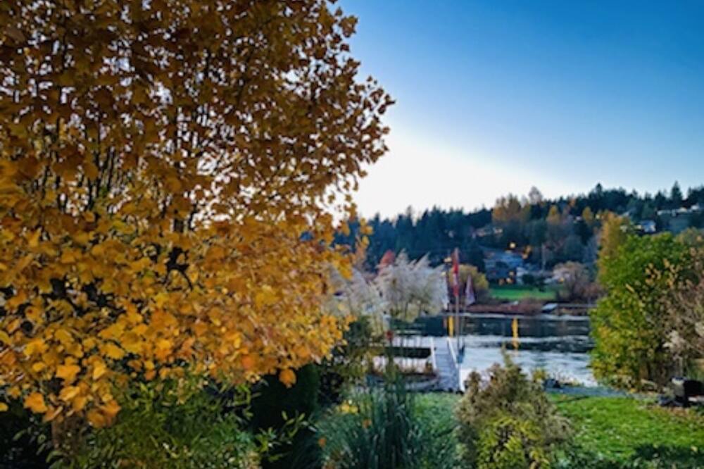 Photo of Others in Lake Cowichan