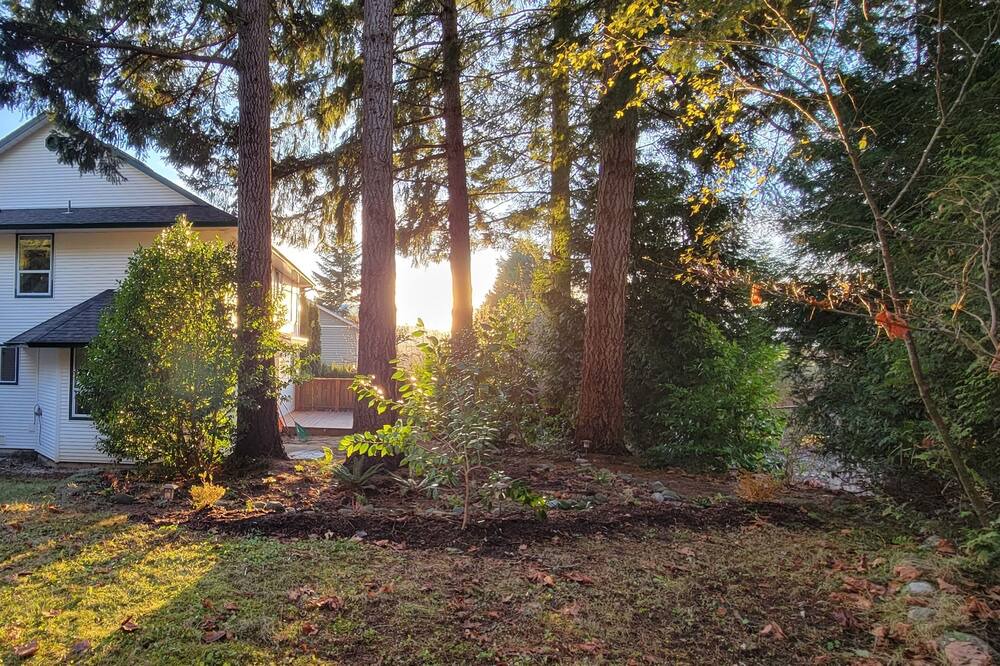 Photo of Outdoor in Courtenay