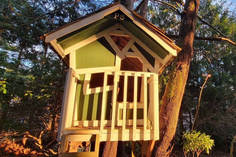 Photo of Outdoor in Courtenay
