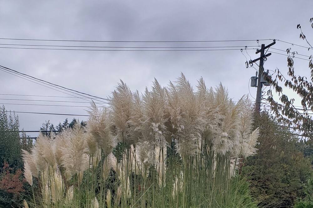 Photo of Outdoor in Salt Spring Island