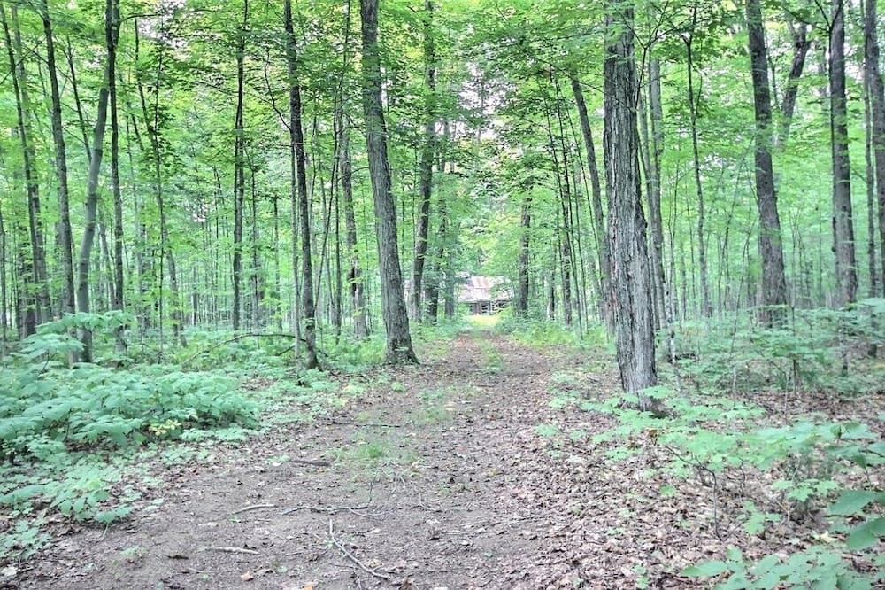 Photo of Outdoor in Notre-Dame-du-Mont-Carmel