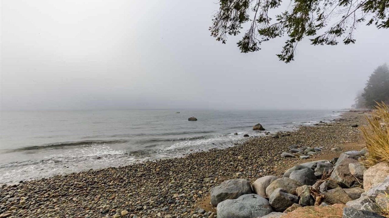 Photo of Others in Roberts Creek