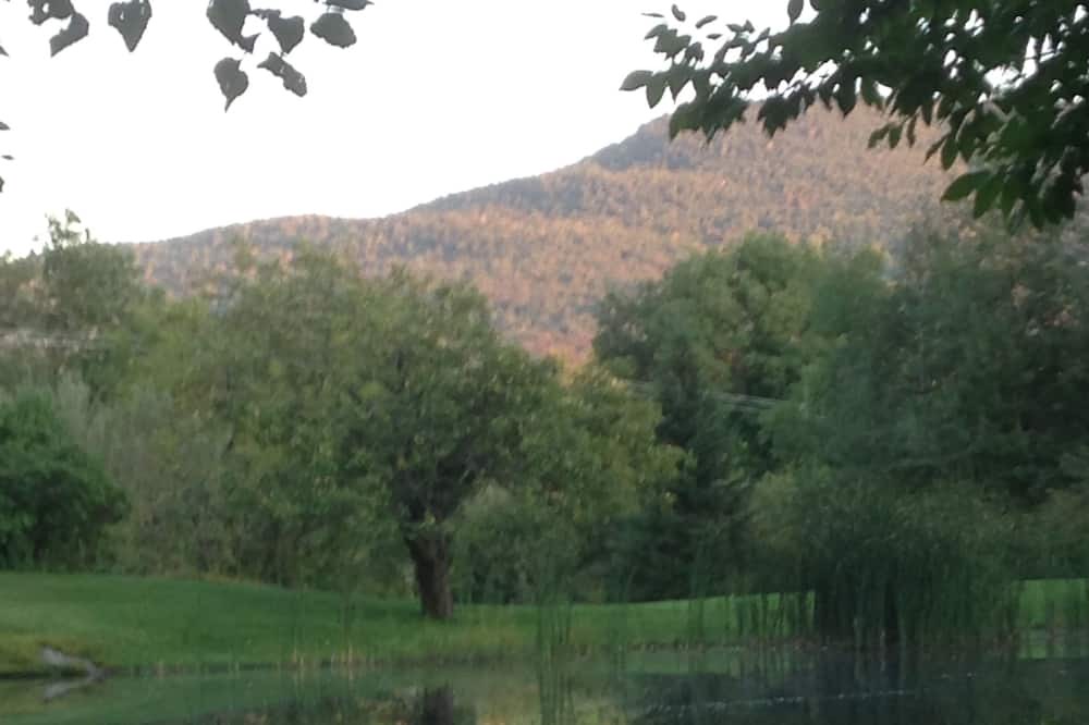 Photo of Outdoor in Sutton
