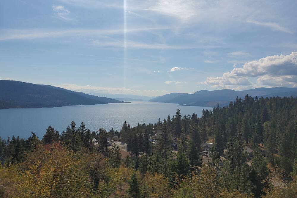 Photo of Others in Westshore Estates