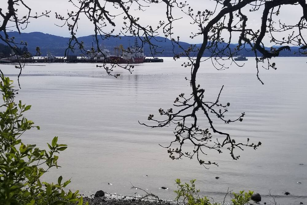 Photo of Others in North Saanich