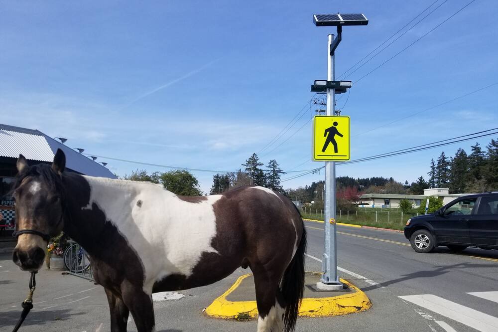 Photo of Others in North Saanich