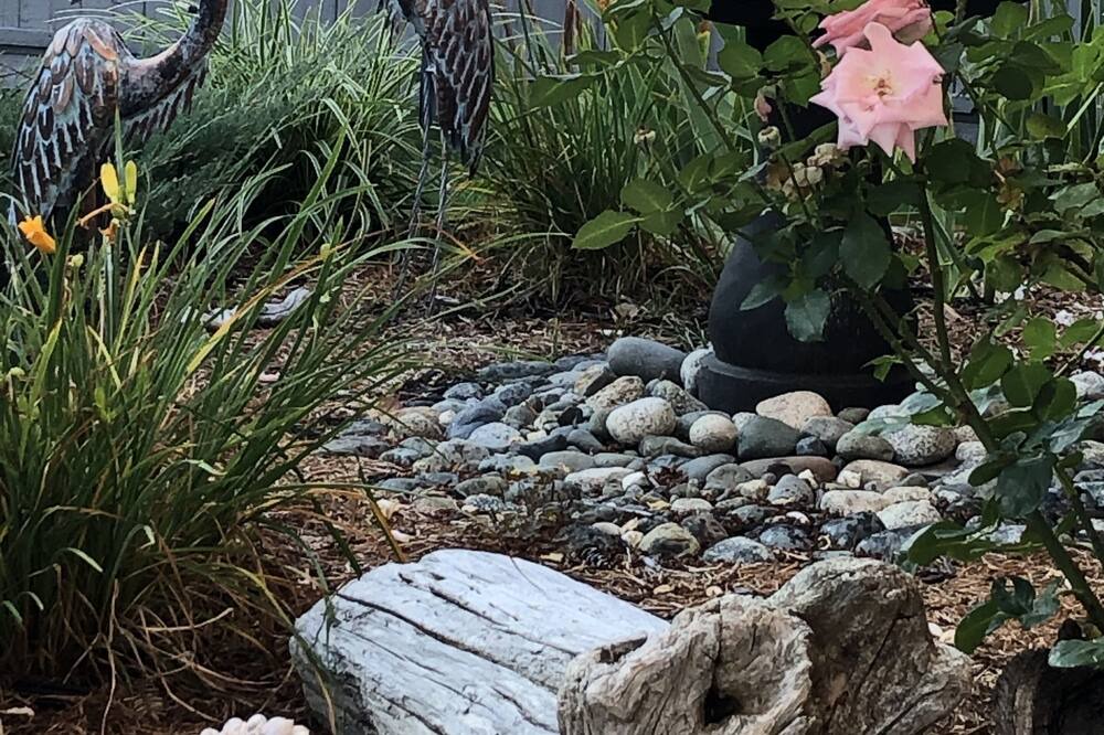 Photo of Outdoor in Courtenay