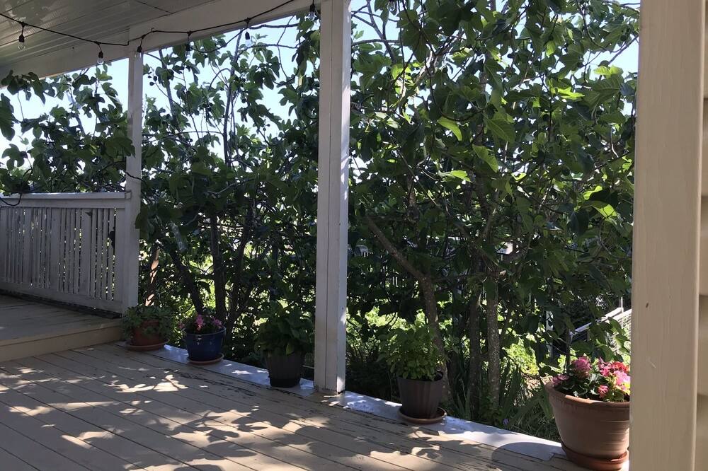 Photo of Patio Balcony in Victoria