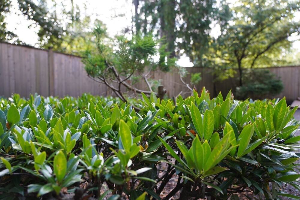Photo of Outdoor in Oakridge