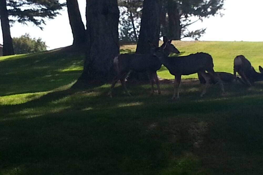 Photo of Outdoor in Windermere