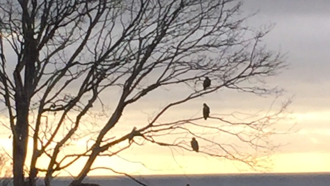 Photo of Others in Roberts Creek