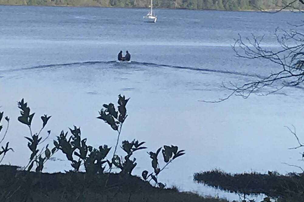 Photo of Others in Ucluelet