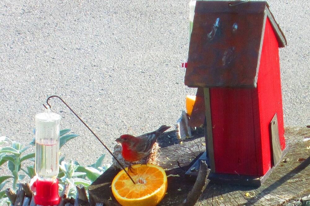 Photo of Others in Wellington