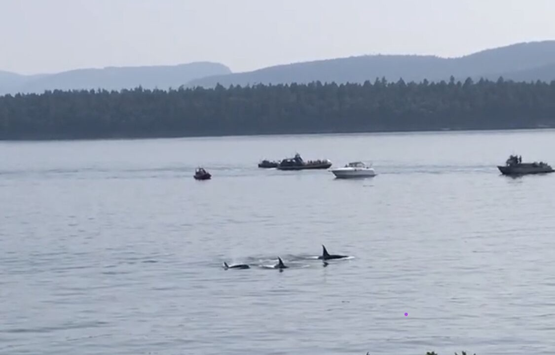 Photo of Others in Galiano