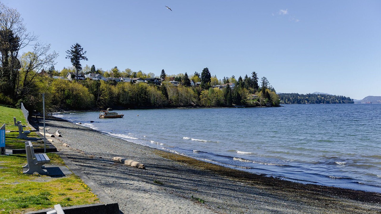 Photo of Others in Chemainus